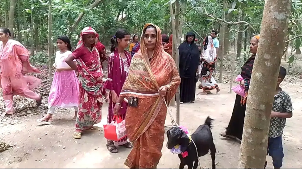ছাগল ও মিষ্টি হাতে কবিরাজের বাড়িতে নবজাতকের মা। ছবি : কালবেলা