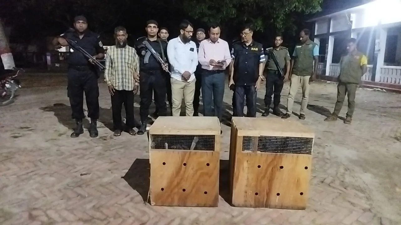 ওপেনবিল পাখি উদ্ধার করেছে র‌্যাব। ছবি : কালবেলা
