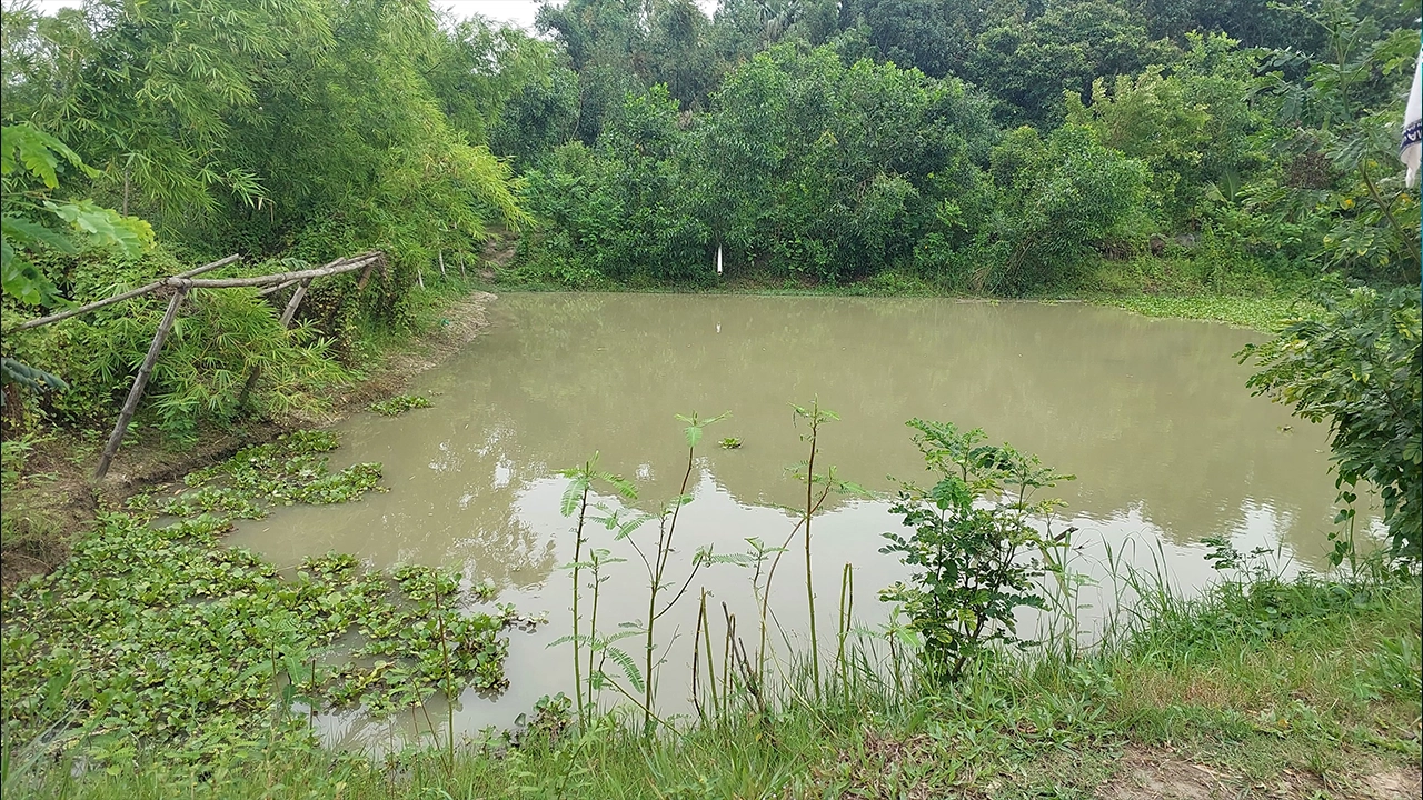 প্রশাসনের পক্ষ থেকে বরাদ্দকৃত সেই জমি। ছবি : কালবেলা