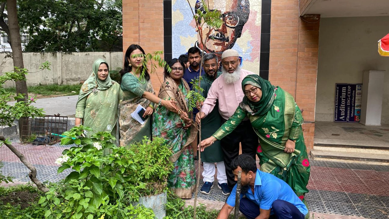 মোহাম্মদপুর কেন্দ্রীয় কলেজের ভূগোল ও পরিবেশ বিভাগের আয়োজনে বৃক্ষরোপণ। ছবি : কালবেলা