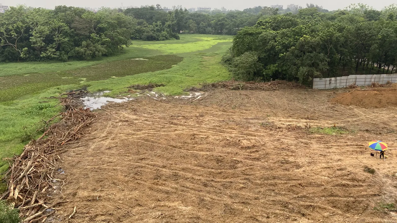 বিশ্ববিদ্যালয়ের ‘মেইন বার্ডস’ খ্যাত লেক ভরাট করছে বিশ্ববিদ্যালয় প্রশাসন। ছবি : কালবেলা