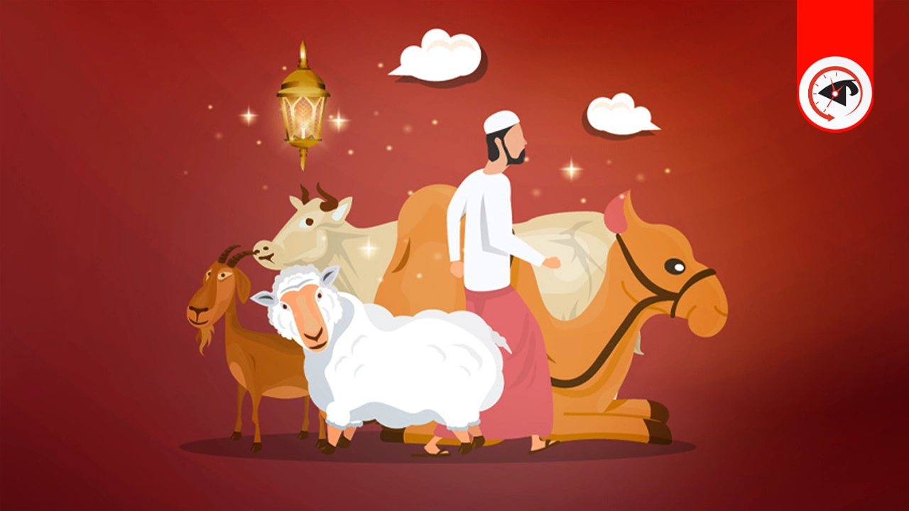 রাসুল (সা.) যেভাবে কোরবানি করতেন