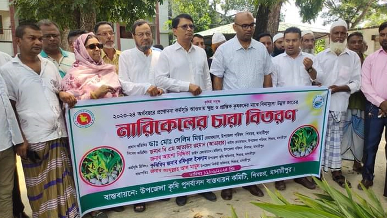 শিবচর উপজেলা কৃষি পুনর্বাসন বাস্তবায়ন কমিটির উদ্যোগে নারিকেল চারা বিতরণ করা হয়। ছবি : কালবেলা