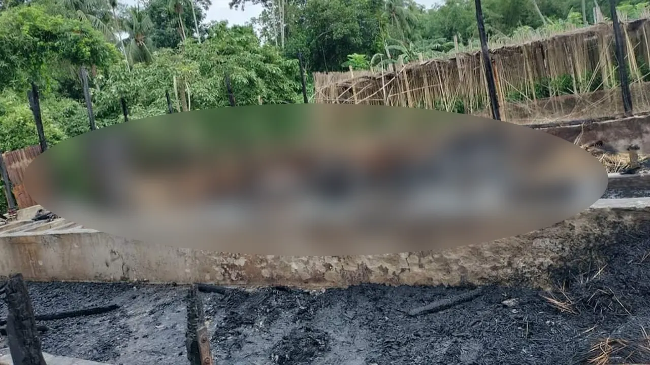 আগুনে পুড়ে ছাই হয়েছে কোরবানির জন্য প্রস্তুত রাখা গরু। ছবি : কালবেলা