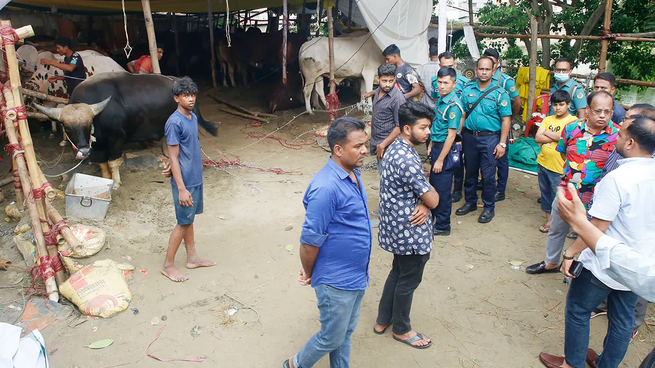 অভিযান পরিচালনা করে ম্যাজিস্ট্রেট চৈতী সর্ববিদ্যার নেতৃত্বে একটি দল। ছবি : কালবেলা