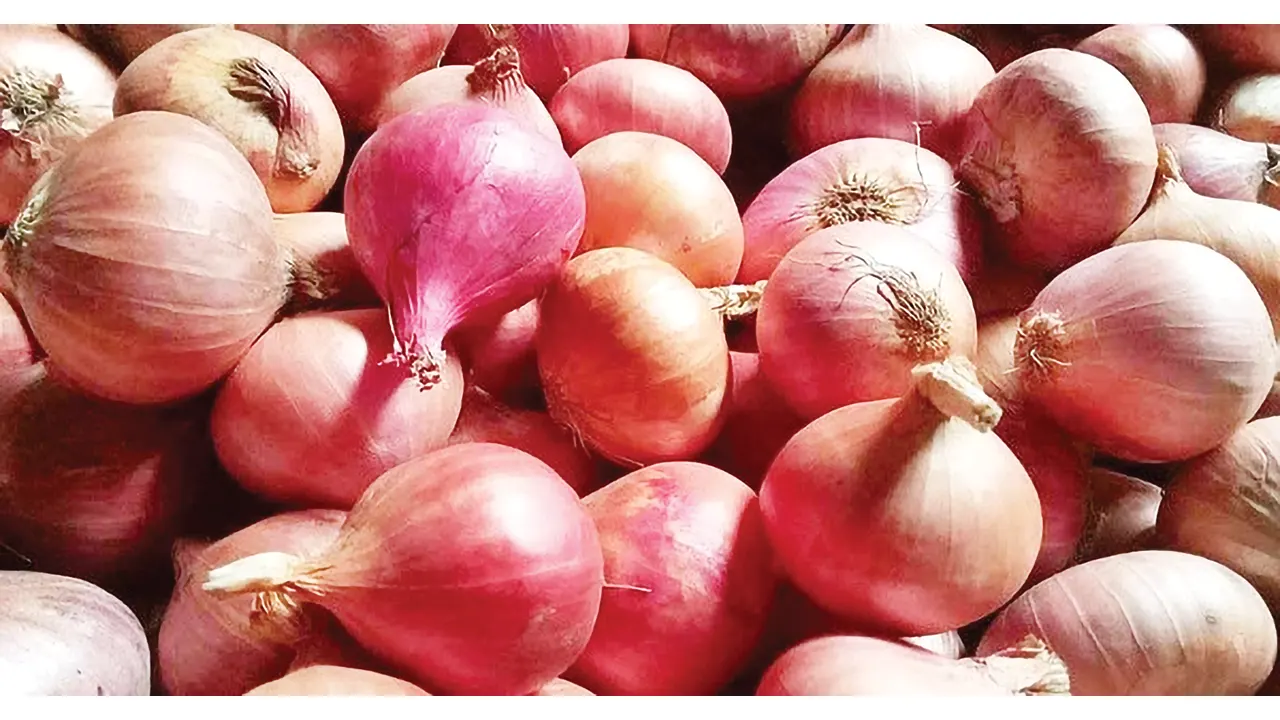প্রতীকী ছবি