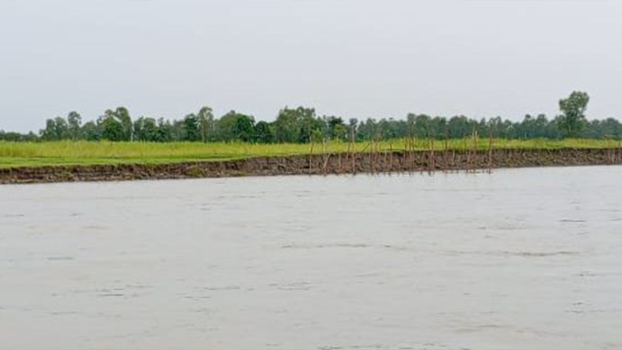 উজানে ভারী বৃষ্টিপাত আর পাহাড়ি ঢলে কুড়িগ্রামে বাড়ছে সব নদ-নদীর পানি। ছবি : কালবেলা