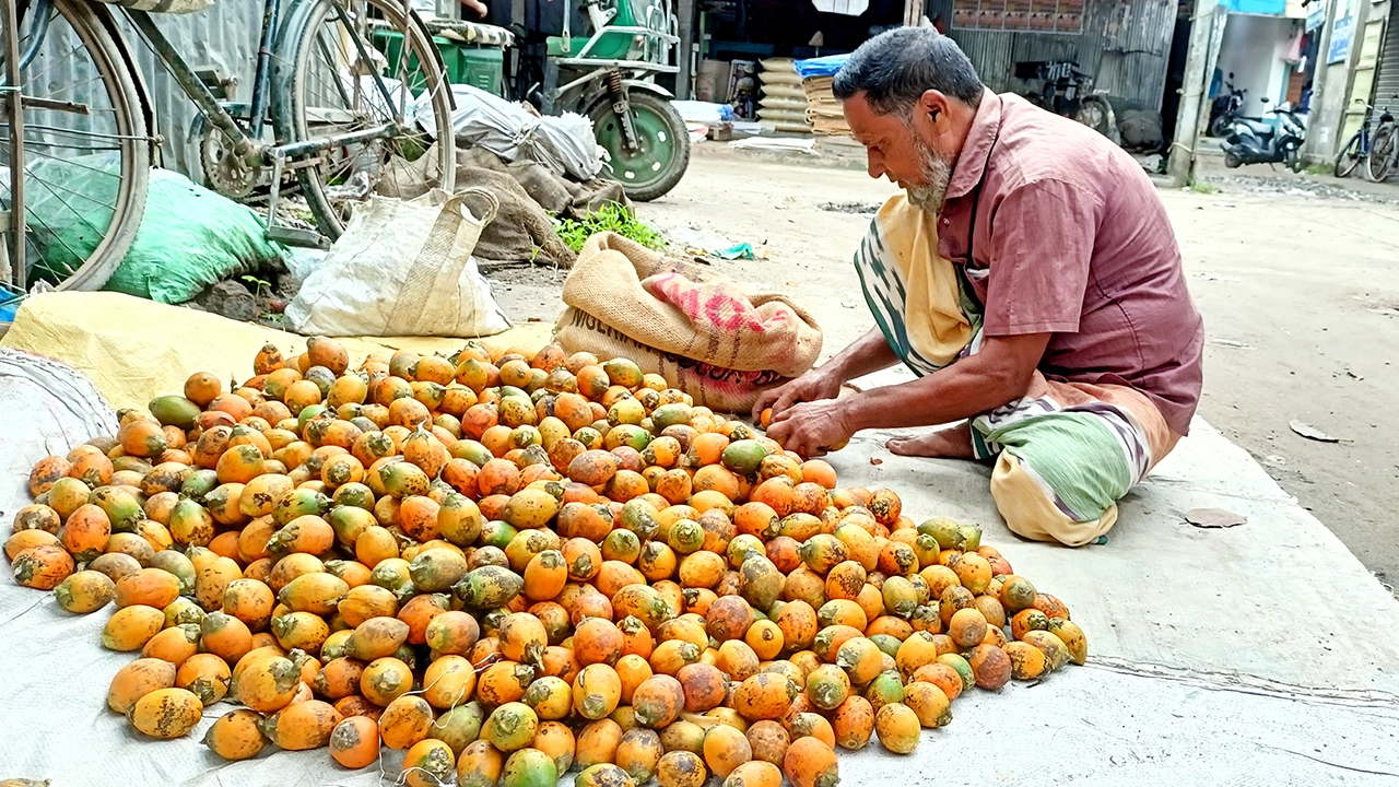 পঞ্চগড়ের দেবীগঞ্জে সুপারি নিয়ে ব্যস্ত এক চাষি। ছবি : কালবেলা