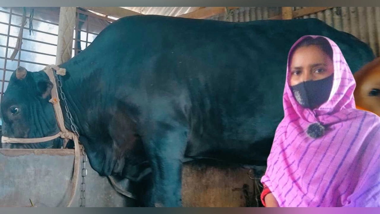 ১৭ মণের স্বপ্নের সঙ্গে নিপা আক্তার। ছবি : কালবেলা
