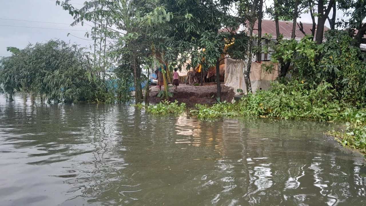 গোয়াইনঘাট উপজেলার ১৪৬টি গ্রাম বন্যায় প্লাবিত। ছবি : কালবেলা
