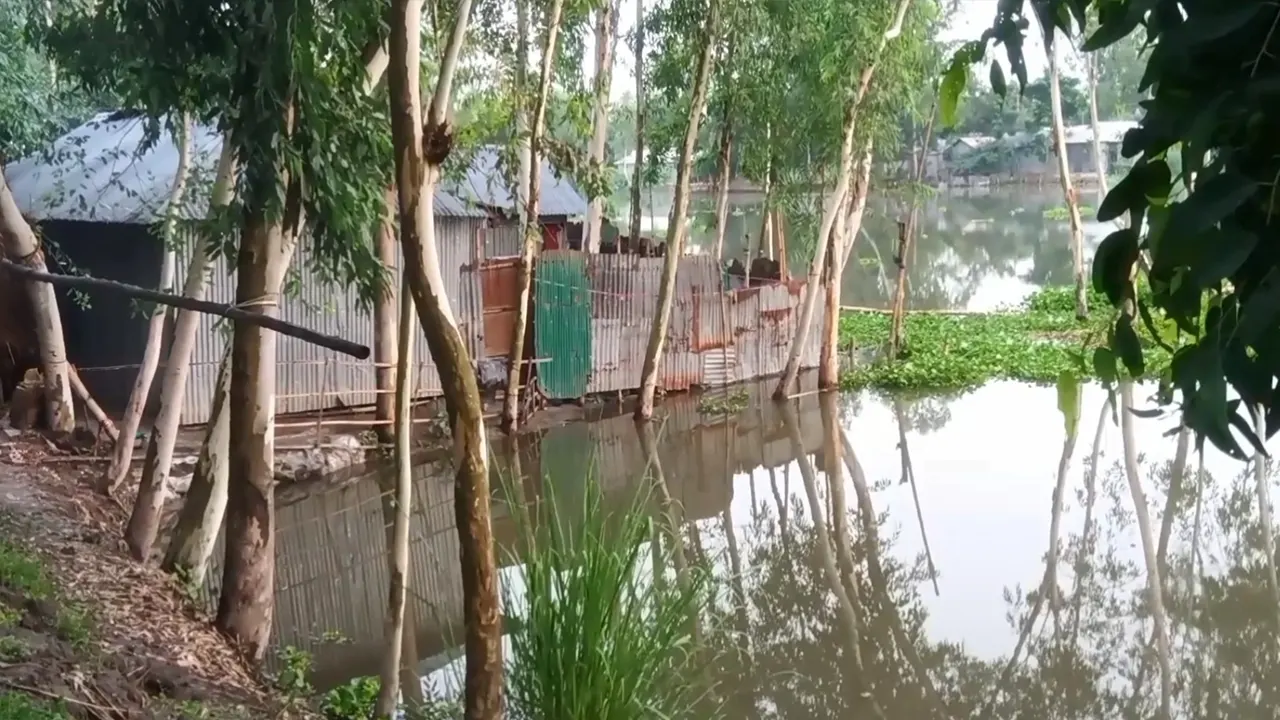 তিস্তার তীরবর্তী নিম্নাঞ্চলে ঢুকে পড়েছে পানি। ছবি : কালবেলা