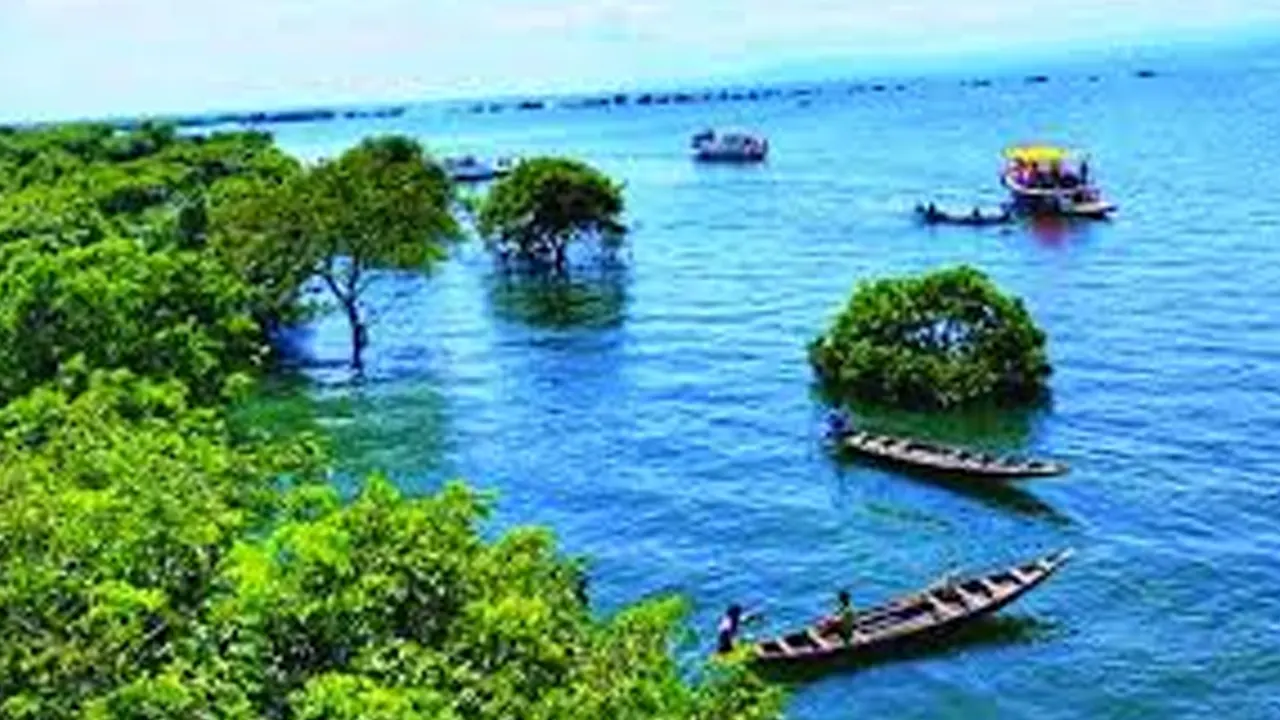টাঙ্গুয়ার হাওর। ছবি : সংগৃহীত