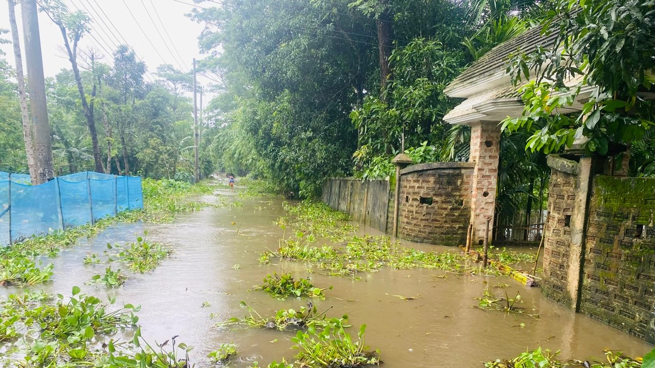 কুলাউড়ায় বন্যা পরিস্থিতি অবনতি ঘটেছে। ছবি : কালবেলা