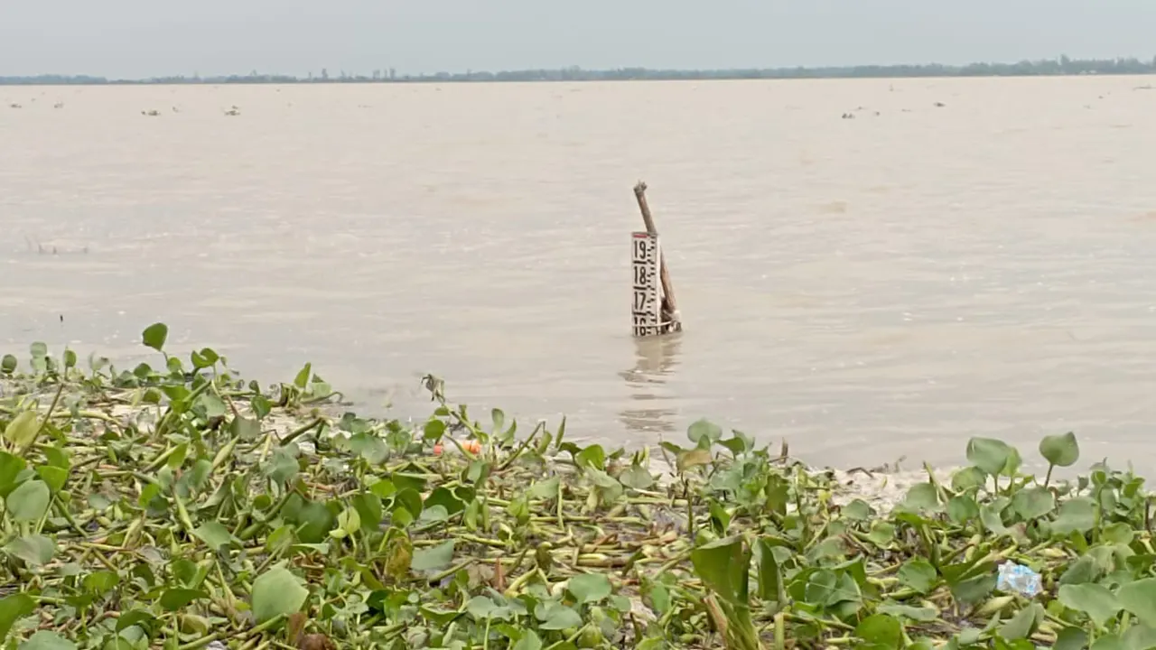 যমুনা নদীর পানি সিরাজগঞ্জ পয়েন্টে দ্রুতগতিতে বেড়ে চলেছে। ছবি : কালবেলা