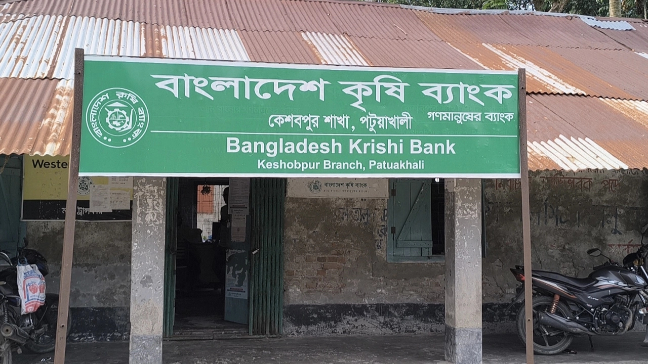 বাংলাদেশ কৃষি ব্যাংক পটুয়াখালী কেশবপুর শাখা। ছবি : কালবেলা
