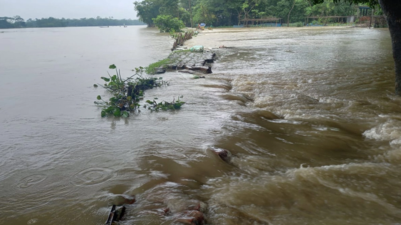 সুরমা নদীর ডাউক ভেঙে লোকালয়ে ঢুকছে বন্যার পানি। ছবি : কালবেলা