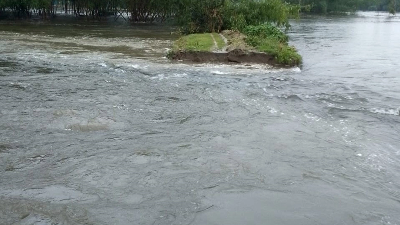 ডিমলায় বুড়ি তিস্তা নদীর বাঁধ ভেঙে একটি ইউনিয়নের দুটি গ্রাম প্লাবিত। ছবি : কালবেলা