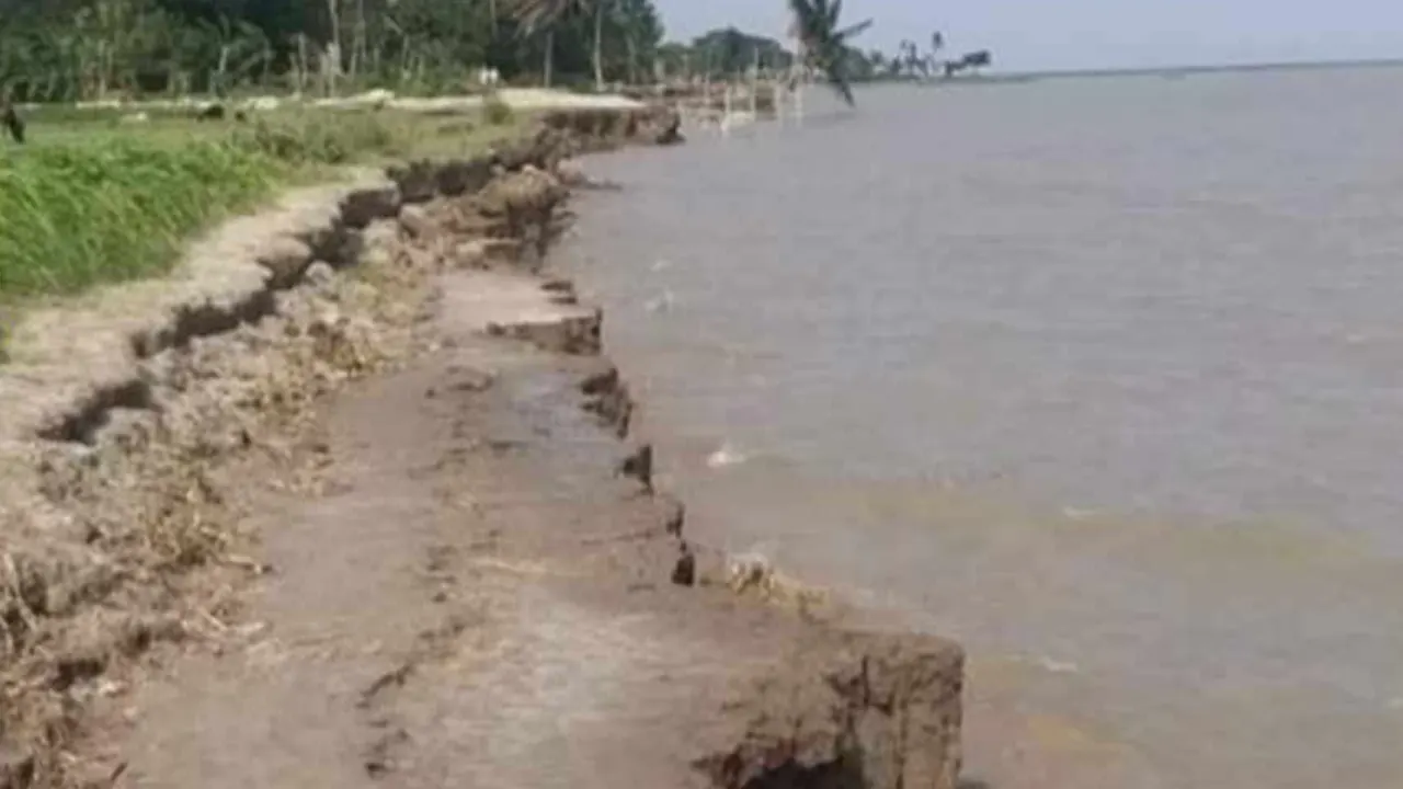 চাঁদপুরে মেঘনার স্রোত বাড়ায় নদীভাঙনের এই ভয়াবহতা বেড়েই চলেছে। ছবি : কালবেলা