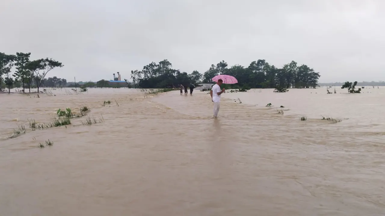 বন্যায় পানিবন্দি পুরো এলাকা। ছবি : কালবেলা