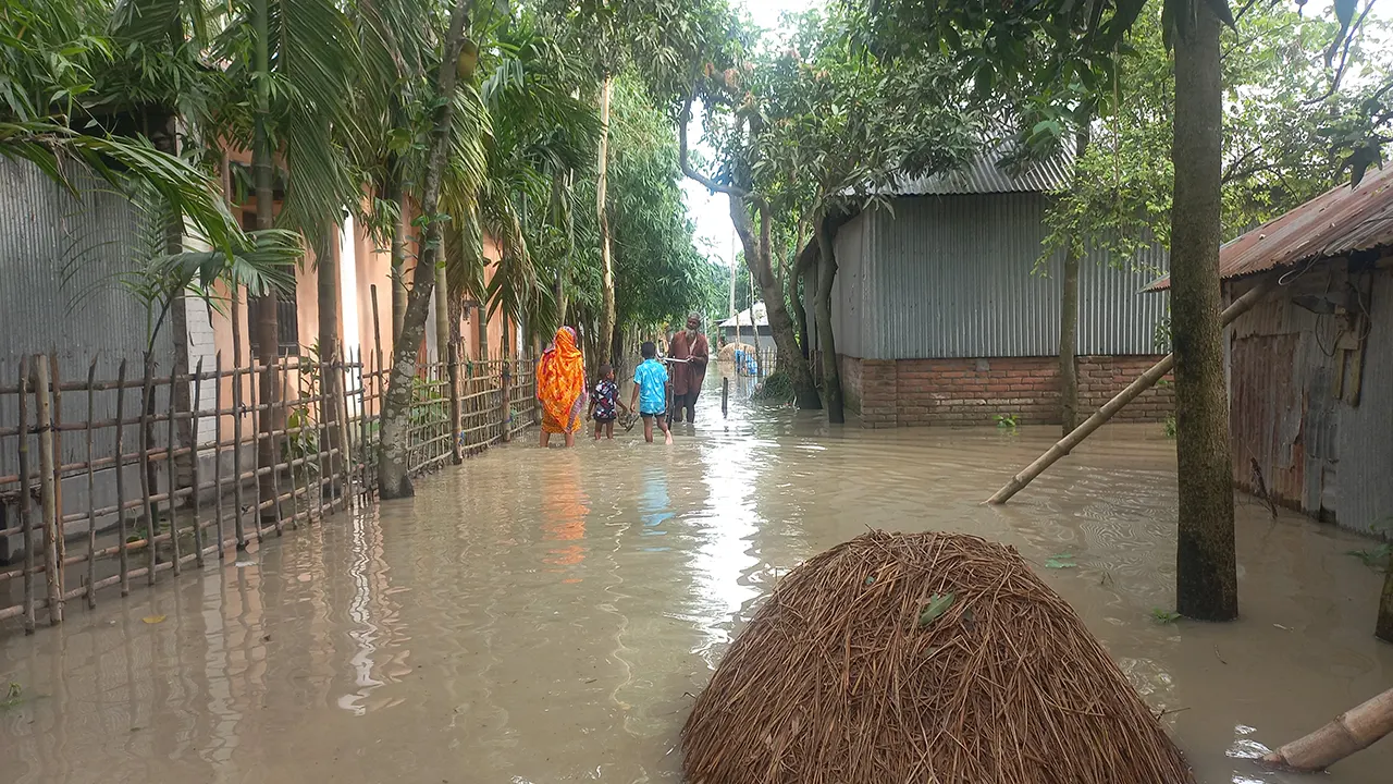 তিস্তার পানি বৃদ্ধি পাওয়ায় নিম্নাঞ্চল প্লাবিত। ছবি : কালবেলা