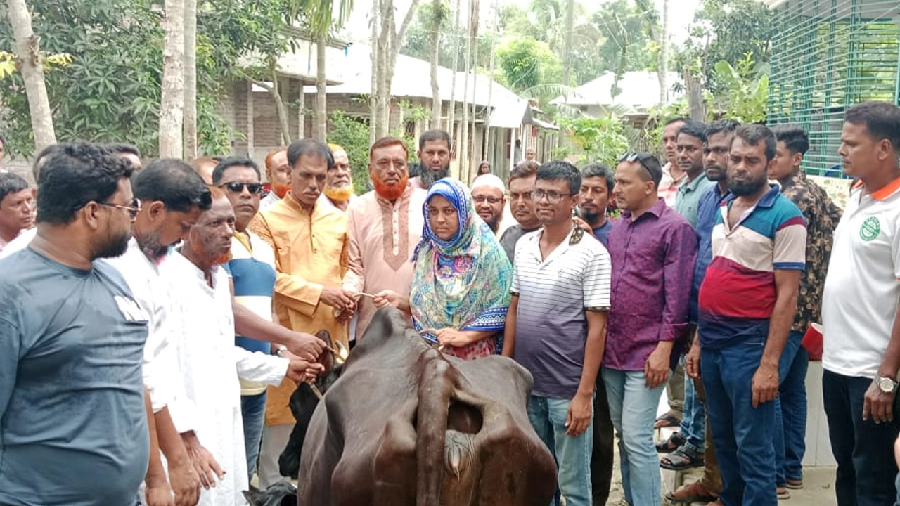নিহত আব্দুর রশিদের পরিবারের পাশে বিএনপির নেতাকর্মীরা। ছবি : কালবেলা