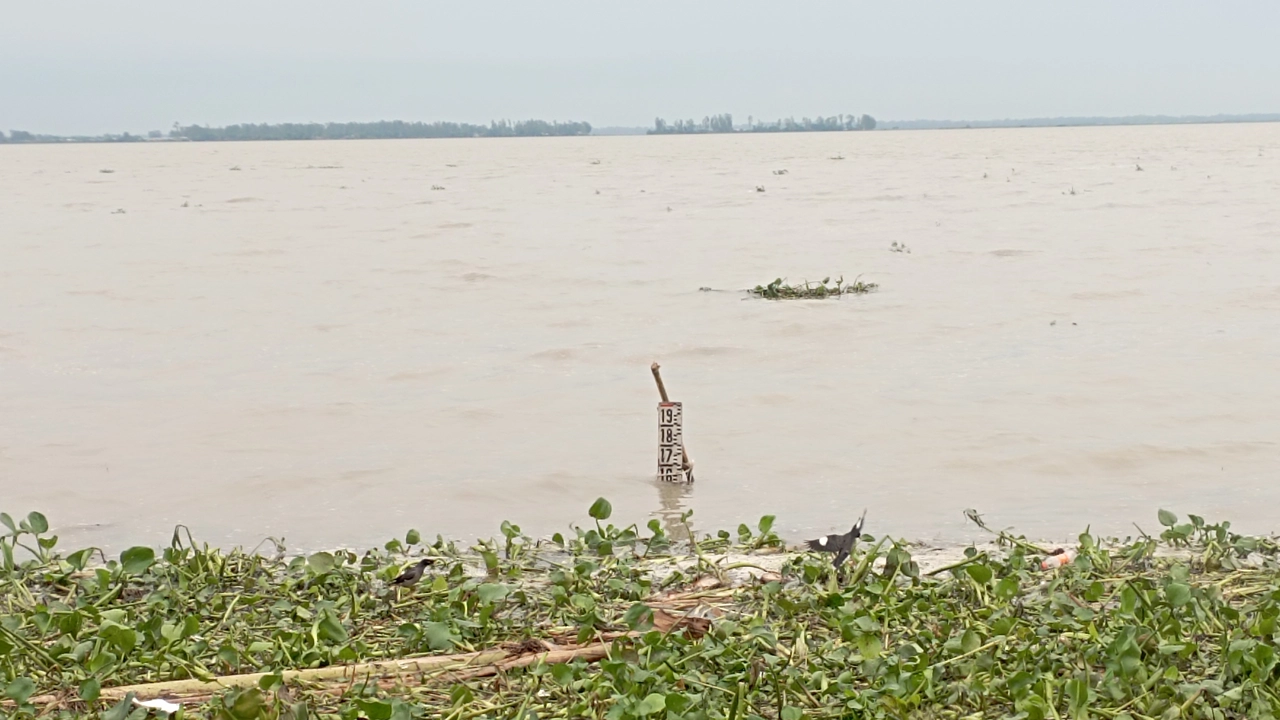 বেড়েছে যমুনা নদীর পানি। ছবি : কালবেলা