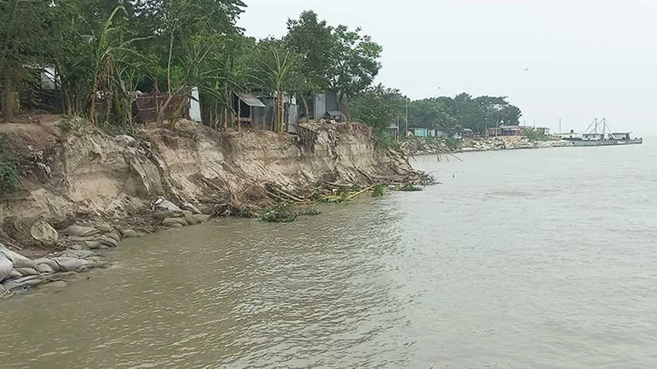 পদ্মা নদীর পাড় ভাঙনে বসতবাড়ি বিলীন হওয়ার আশঙ্কা। ছবি : কালবেলা