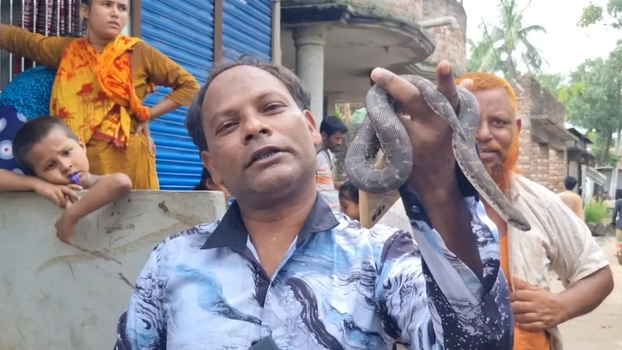 আলোচিত রাসেলস ভাইপার সাপ হাতে বেদে সর্দার। ছবি : কালবেলা
