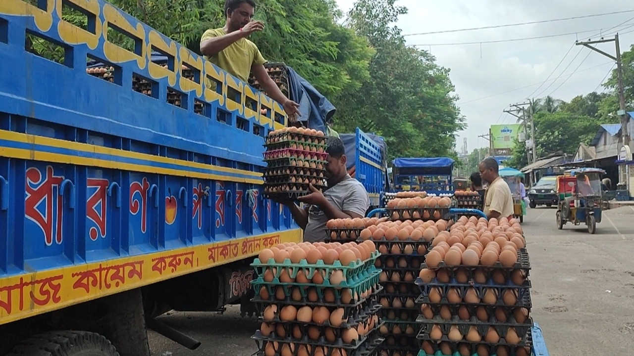 ট্রাক থেকে নামানো ফার্ম থেকে আনা হচ্ছে ডিম। ছবি : কালবেলা