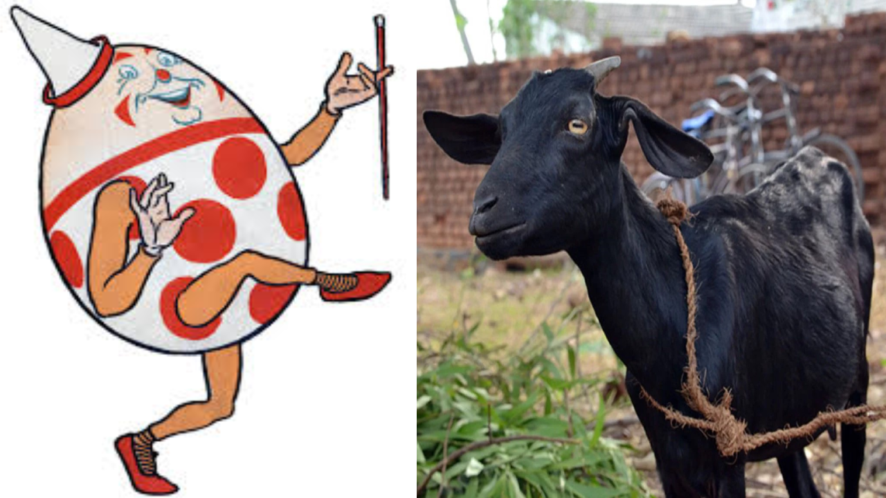 ছবি : প্রতীকী