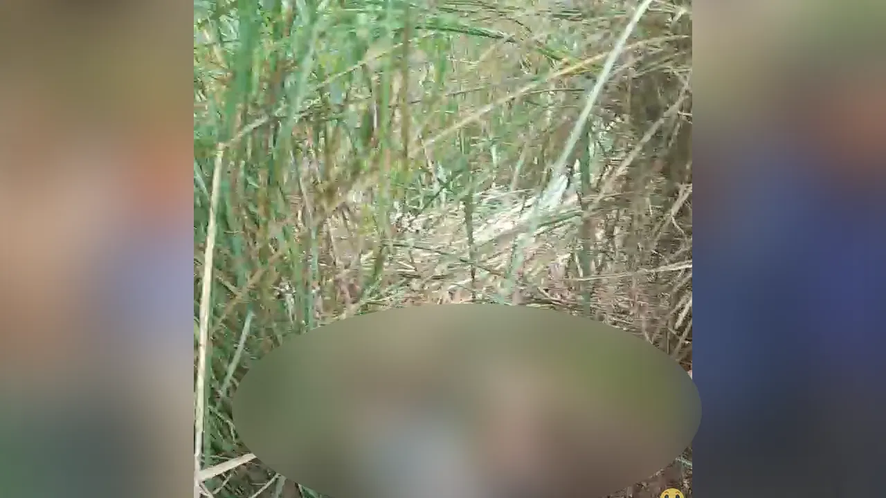 কাশবন থেকে নারীর মরদেহ উদ্ধার করেছে পুলিশ। ছবি : কালবেলা