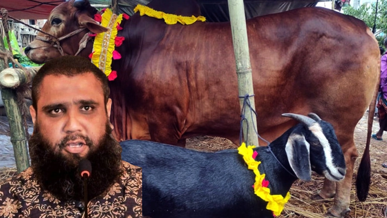 ‘সাদেক এগ্রো’র আড়ালে বিশাল এক গরু চোরাচালান সিন্ডিকেট গড়ে তুলেছেন মোহাম্মদ ইমরান হোসাইন। ছবি : সংগৃহীত