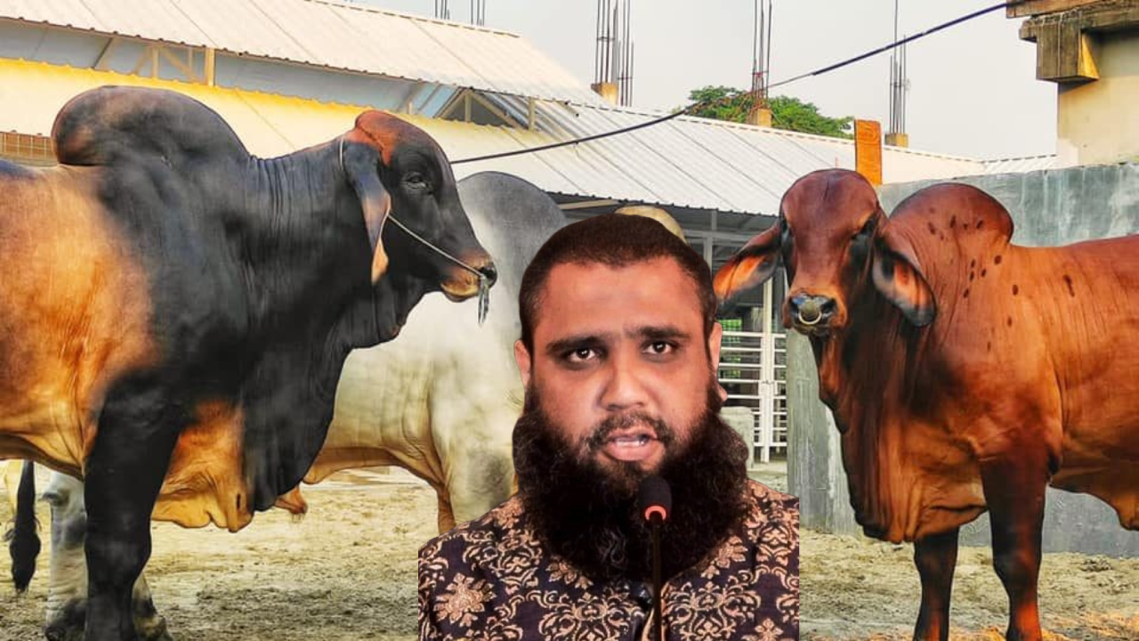 ‘সাদেক এগ্রো’র আড়ালে বিশাল এক গরু চোরাচালান সিন্ডিকেট গড়ে তুলেছেন মোহাম্মদ ইমরান হোসাইন। ছবি : সংগৃহীত