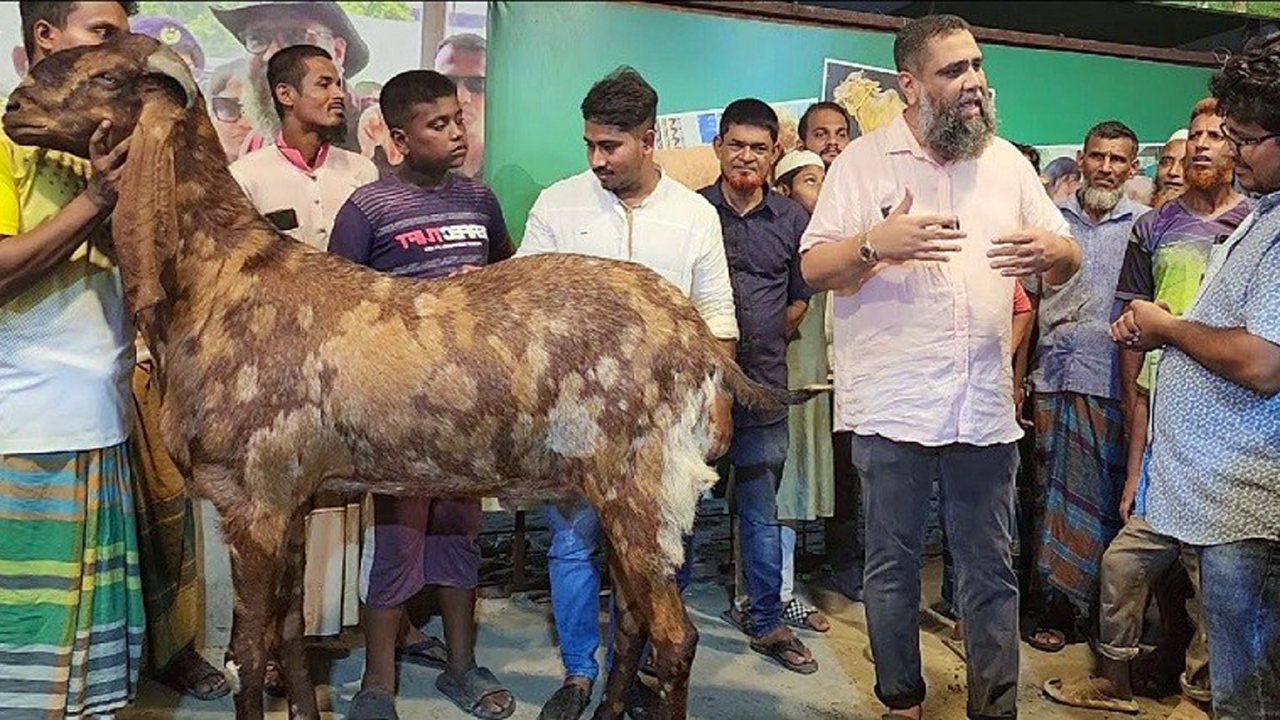 ১ লাখ টাকার ছাগল ১৫ লাখ টাকায় বিক্রি করে সাদিক এগ্রোর মোহাম্মদ ইমরান হোসাইন। ছবি : সংগৃহীত