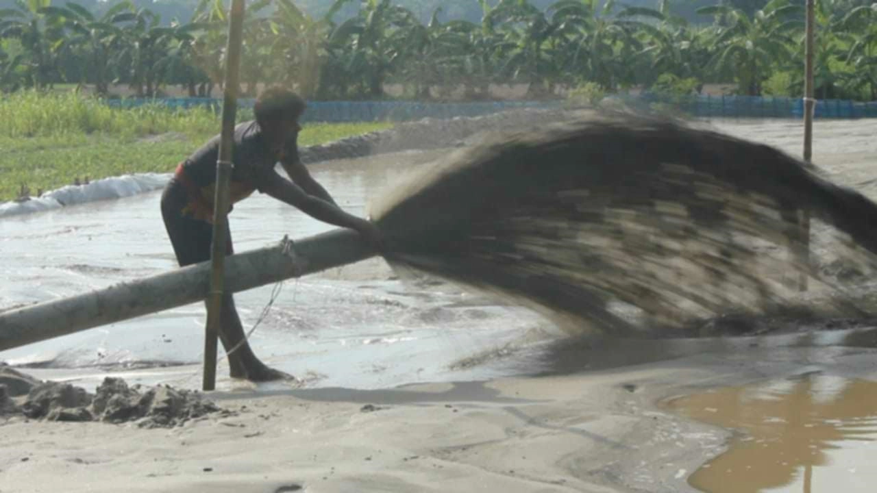 নদী থেকে উত্তোলন করা হচ্ছে বালু। ছবি : সংগৃহীত