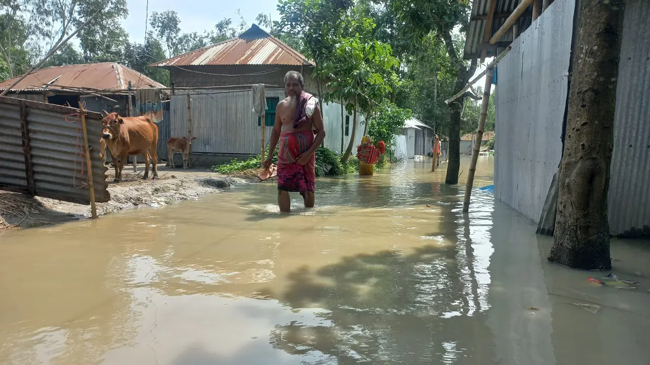 সদর উপজেলার তিস্তা আনন্দ বাজার বাগডোরা নিম্নাঞ্চল পানিতে ডুবে আছে। ছবি : কালবেলা