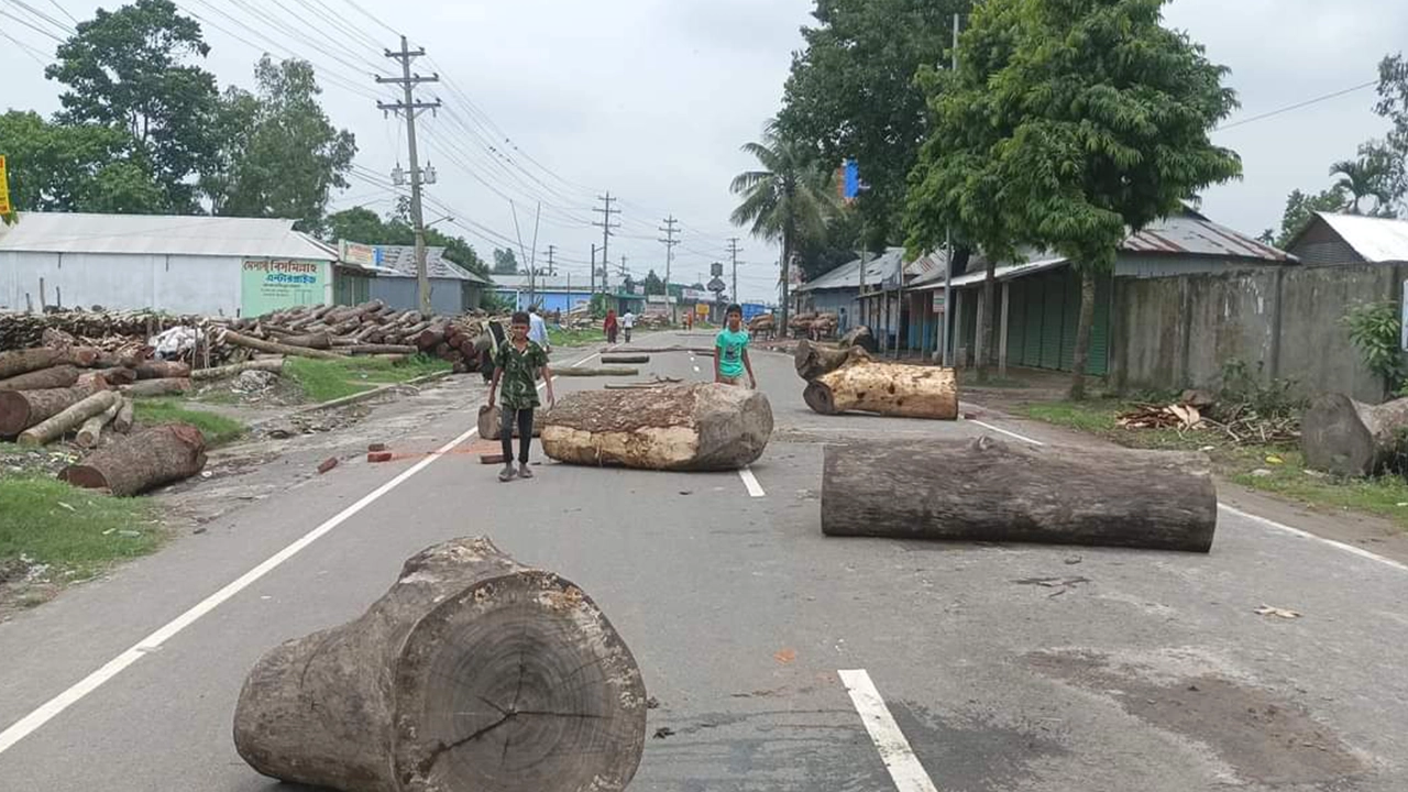 সড়কে গাছের গুঁড়ি ফেলে হরতাল পালন। ছবি : কালবেলা