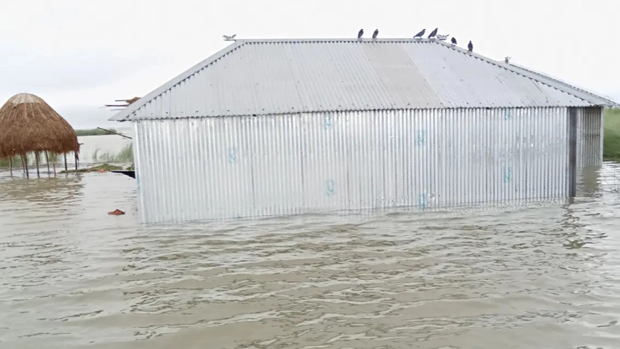 ব্রহ্মপুত্র অববাহিকার নিম্নাঞ্চলের বাড়িঘরে পানি প্রবেশ করে কয়েকশ’ পরিবার পানিবন্দি। ছবি : কালবেলা