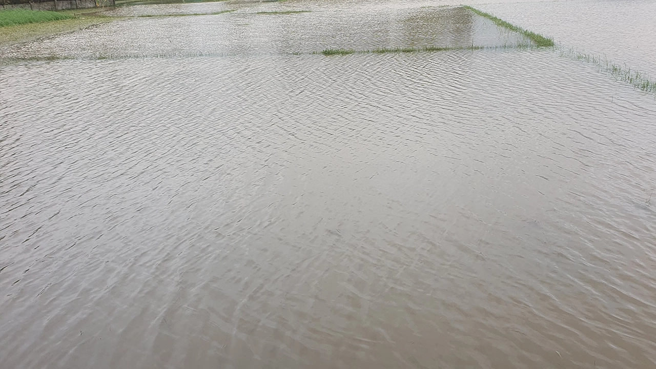 পরে যাবে। আপডেট হবে আরও