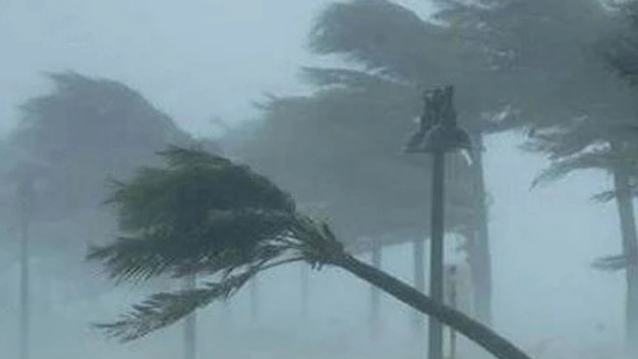 পুরোনো ছবি