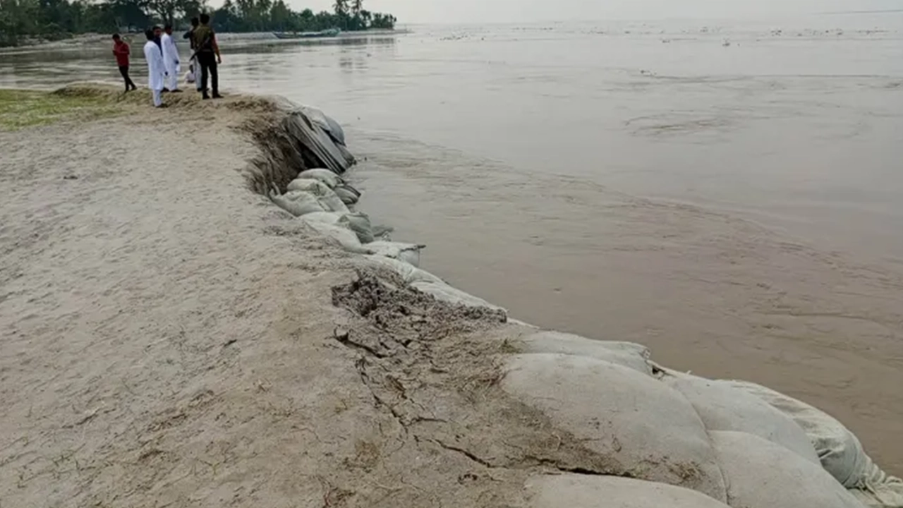 পানি বৃদ্ধিতে ভেঙে যাচ্ছে বগুড়ায় যমুনা নদীর পাড়। ছবি : কালবেলা