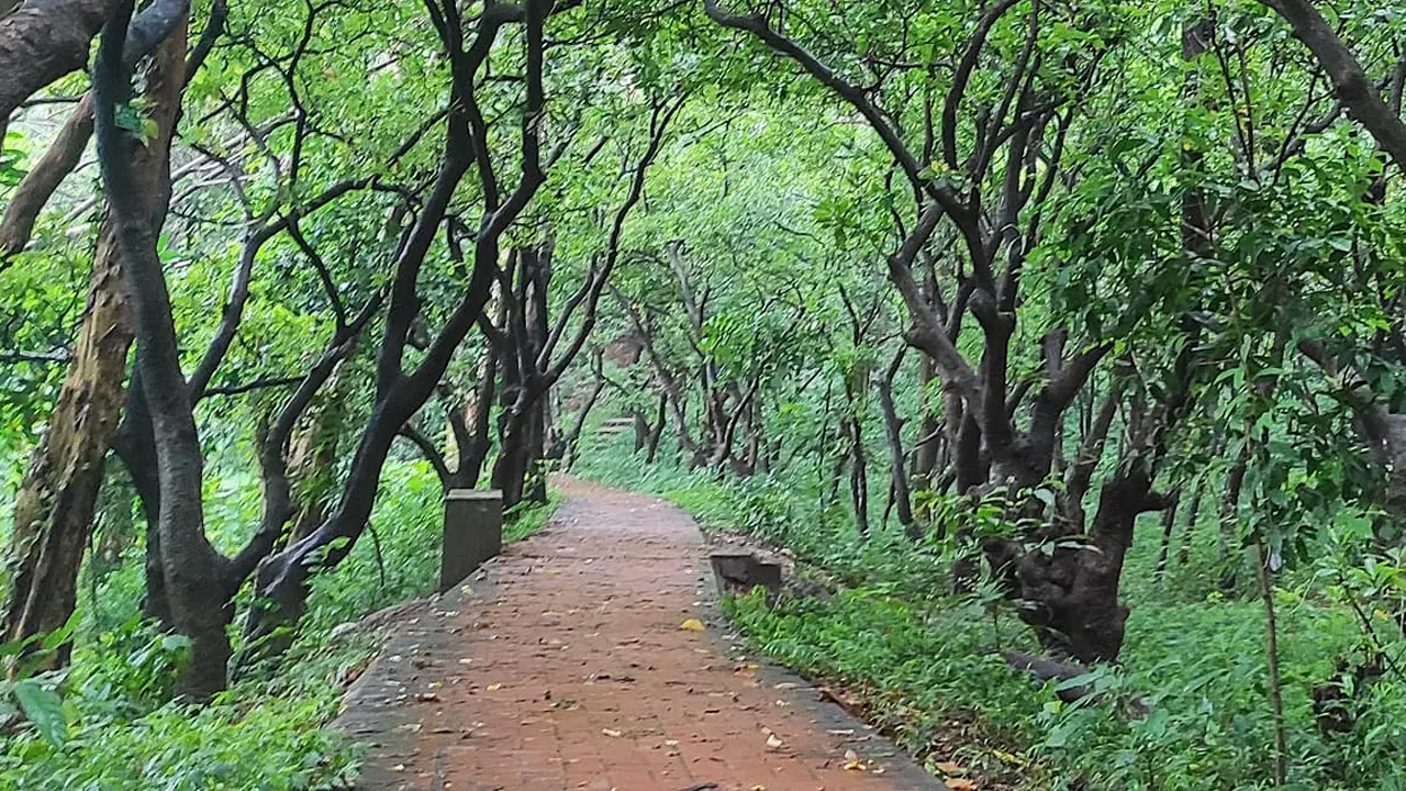 বোটানিক্যাল গার্ডেন। পুরোনো ছবি