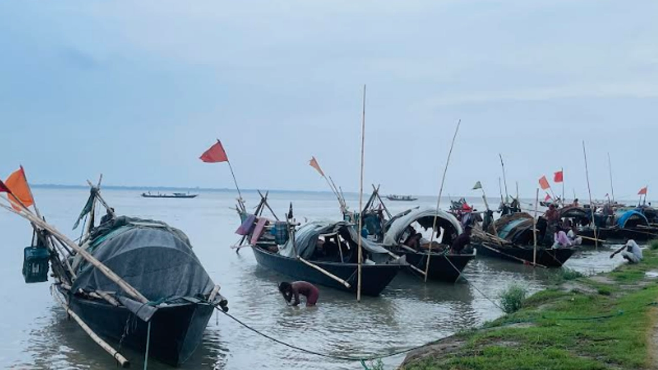 পদ্মা নদীতে সারি সারি নৌকা। ছবি : কালবেলা
