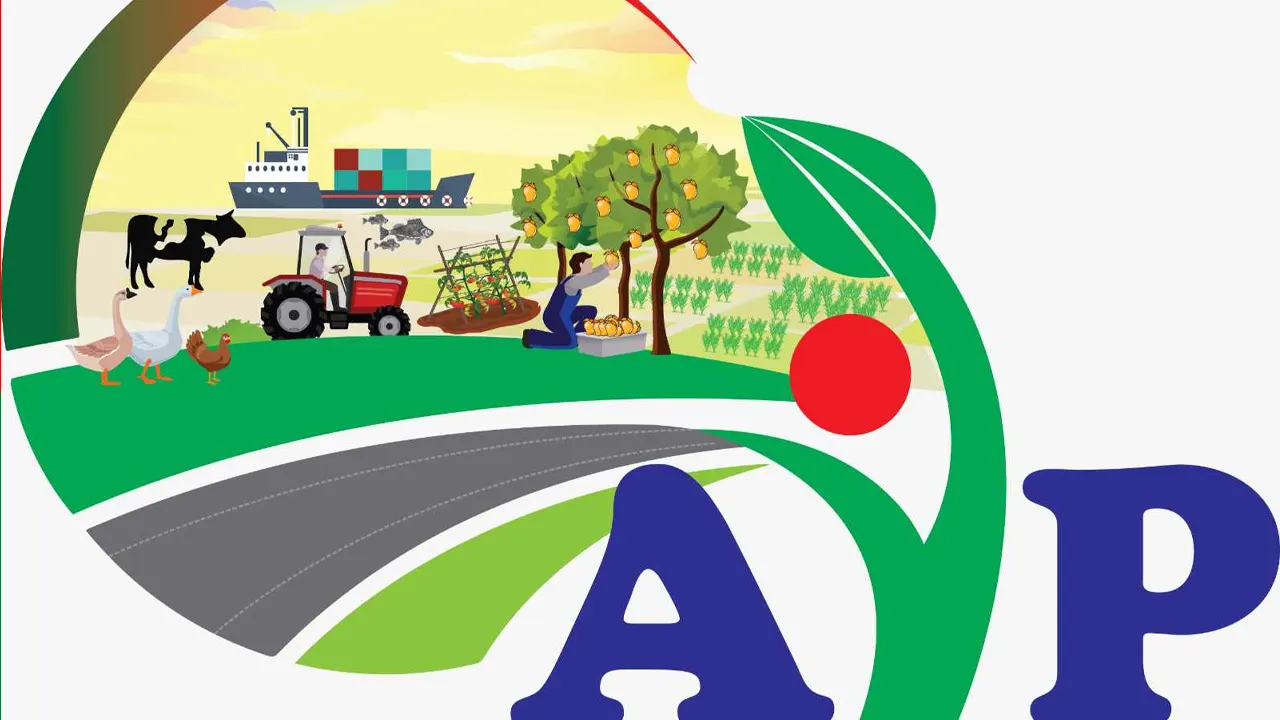 গ্রাফিক্স
