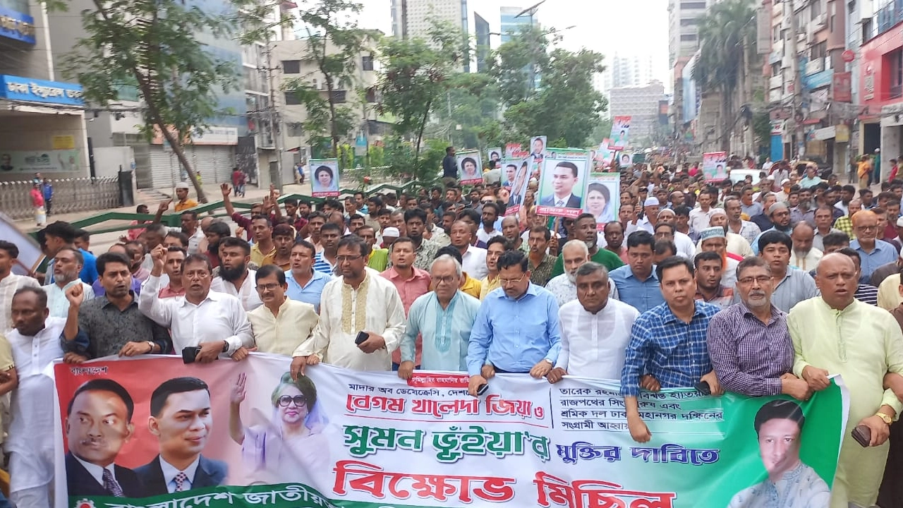 বিক্ষোভ মিছিল করেছে বিএনপি। ছবি : কালবেলা