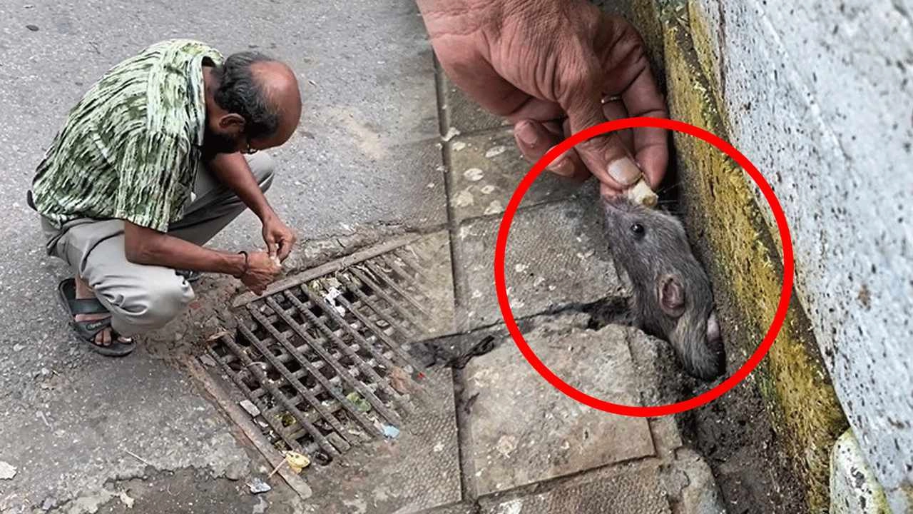 কামাল মিয়া ও ইঁদুর। ছবি : সংগৃহীত