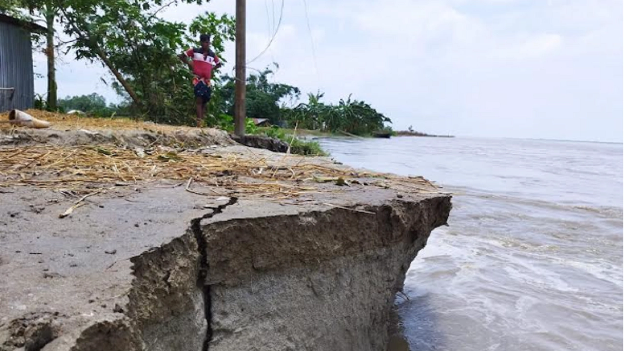 আদিতমারী উপজেলার মহিষখোঁচা ইউনিয়নের দক্ষিণ গোবর্ধন তিস্তা চর এলাকায় নদী ভাঙন। ছবি : কালবেলা