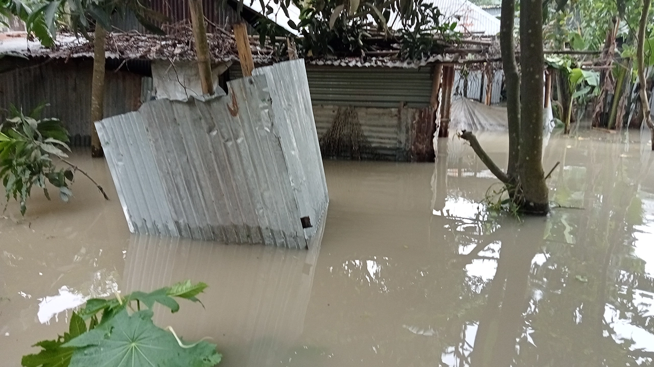 যমুনার পানি বেড়ে বসতবাড়িতে ঢুকে পড়েছে পানি। ছবি : কালবেলা