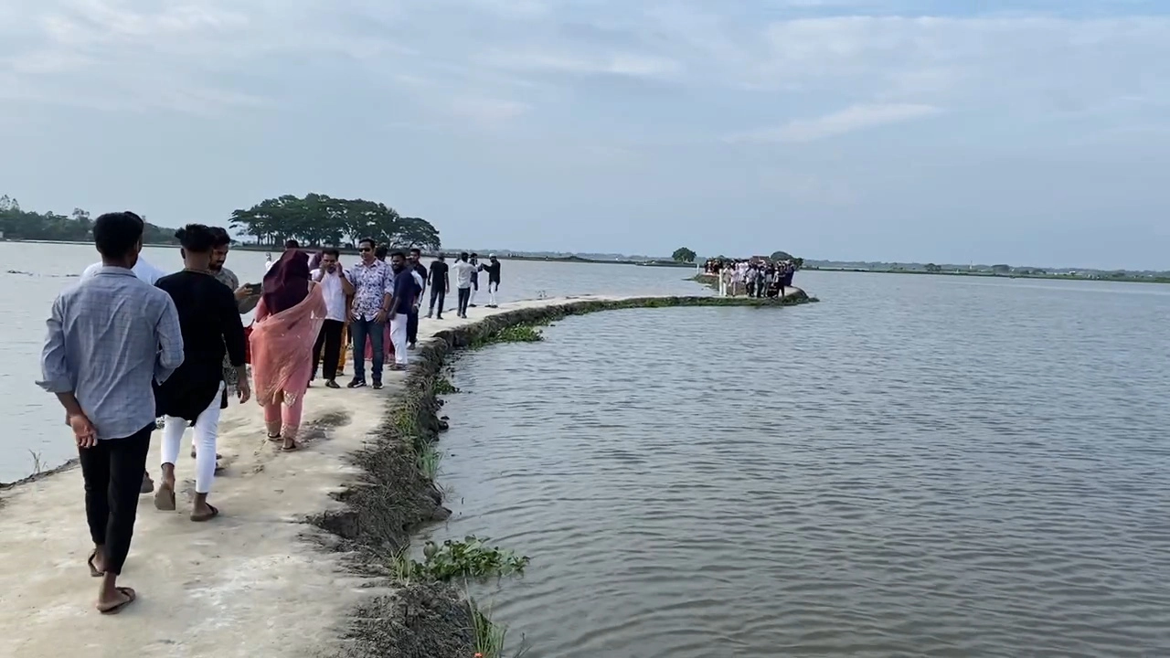 কুমিল্লার মুরাদনগরের ডালপা বিল। ছবি : কালবেলা