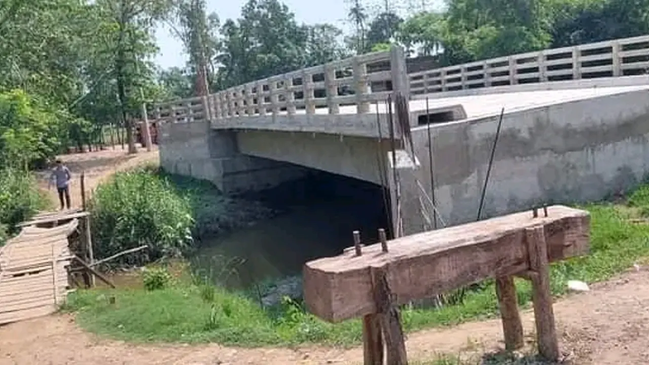 পেকুয়ার বারবাকিয়া চড়াপড়া সড়কের শিলখালী খালের ওপর নির্মিত সেতু। ছবি : কালবেলা